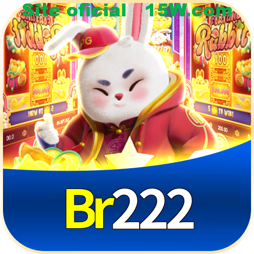 Imagem promocional da Br222 mostrando a plataforma e suas vantagens